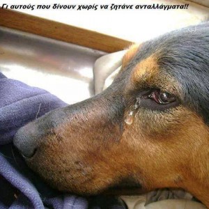 12314013_1049377368448075_3460772224839692777_n