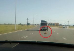 13015437_1089901601082996_6022059943444260688_n