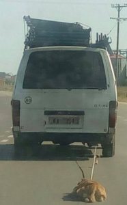 13043333_1089901637749659_1900090234985880177_n