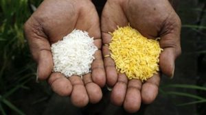 4284CA520F5D71EA1B43620484EB93FA